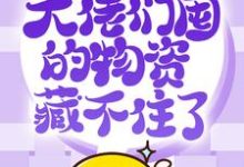 完结版《抢穿末日：大佬们囤的物资藏不住了》章节阅读-红梅文学