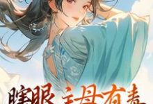 小说《瞎眼主母有毒,不做也罢》章节免费阅读-红梅文学