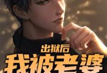 完结版《出狱后,我被老婆背刺了》章节阅读-红梅文学