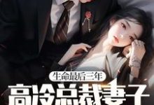 晏隋蒋琬小说《生命最后三年,高冷总裁妻子疯狂报复我!》在线阅读-红梅文学