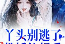 丫头别逃了!教授他超爱苏绾晚谢宴宁在线章节免费阅读-红梅文学