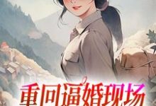 寻找重回逼婚现场,我只把你当我哥小说的最新更新章节-红梅文学