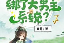 小说《我,修仙虐文女主,绑了大男主系统?》完整版在线章节免费阅读-红梅文学