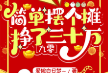 简单摆个摊,挣了三十万【九零】陈柏云姜嘉成,简单摆个摊,挣了三十万【九零】章节在线阅读-红梅文学
