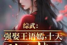 在线免费阅读综武:强娶王语嫣,十天陆地神仙完整小说-红梅文学