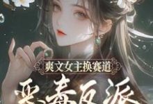 小说《爽文女主换赛道,恶毒反派我当定了》章节免费阅读-红梅文学