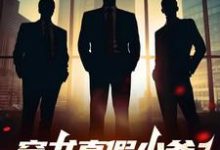 叶战叶傲天小说《穿书真假少爷?不,我是他们的爹》在线阅读-红梅文学
