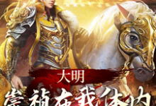 朱由检小说《大明:崇祯在我体内,中兴大明》完整版免费阅读-红梅文学