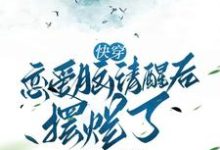 时安小说快穿恋爱脑清醒后摆烂了章节免费阅读-红梅文学