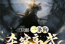 完结版《三只眼,一条狗,杀穿高武不回头》在线免费阅读-红梅文学