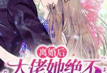 小说《离婚后,大佬她绝不破镜重圆》章节免费阅读-红梅文学