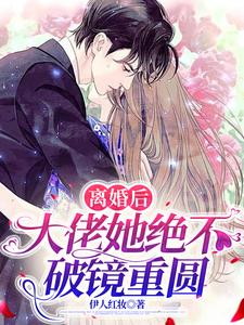 小说《离婚后，大佬她绝不破镜重圆》章节免费阅读