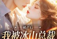 完结版《破产后,我被冰山总裁接回家》免费阅读-红梅文学