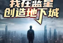 小说完整版《震惊!我在蓝星创造地下城》免费阅读-红梅文学