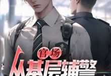 完结版《官场：从基层辅警开始崛起》在线免费阅读-红梅文学