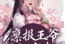 禀报王爷,王妃有喜了!小说有没有完整的免费版本在线阅读?-红梅文学