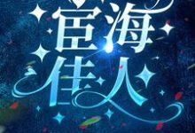 哪里可以免费找到宦海佳人?-红梅文学