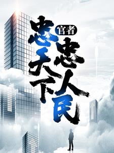 完结版《官者：忠天下，忠人民》章节阅读
