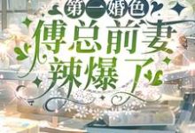 第一婚色:傅总前妻辣爆了小说阅读,第一婚色:傅总前妻辣爆了完结版-红梅文学
