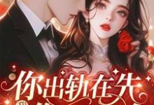 你出轨在先,我离婚你哭什么最新章节,你出轨在先,我离婚你哭什么免费阅读-红梅文学