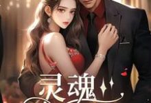 小说《灵魂挚友》在线章节阅读-红梅文学