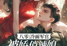求八零:冷面军官被娇俏辣媳狠狠拿捏小说的全文免费阅读链接-红梅文学