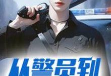 完结版《从警员到封疆大吏》章节目录在线阅读-红梅文学
