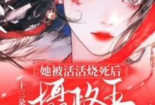 完结版《她被活活烧死后，摄政王悔不当初》章节阅读-红梅文学