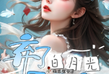 弃了白月光男主后小说有没有完结版在线?-红梅文学