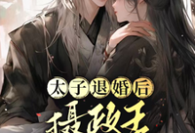 《太子退婚后,摄政王他坐不住了》小说章节在线试读,《太子退婚后,摄政王他坐不住了》最新章节目录-红梅文学