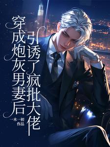 已完结小说《穿成炮灰男妻后，引诱了疯批大佬》章节免费阅读
