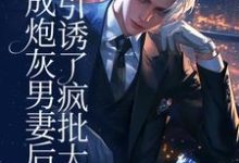 苏岭裴宥小说穿成炮灰男妻后，引诱了疯批大佬章节免费阅读-红梅文学