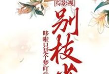 综影视:别枝雀小说有没有完结版在线?-红梅文学