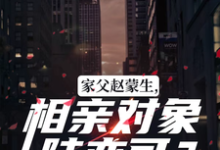家父赵蒙生,相亲对象陆亦可?这本小说怎么样?免费在线阅读试试-红梅文学