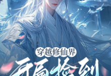 小说《穿越修仙界，开局捡到一个帅哥》章节免费阅读-红梅文学