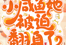 七零:小咸鱼她被迫翻身了章节免费在线阅读,宋黎洛苏墨瑾完结版-红梅文学