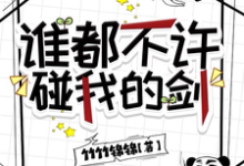 谁都不许碰我的剑周长安风珀小说免费阅读-红梅文学