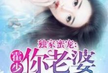 独家蜜宠:霍少,你老婆被拐了小说的无弹窗阅读体验,寻找免费阅读网站-红梅文学