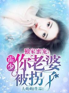 独家蜜宠：霍少，你老婆被拐了小说的无弹窗阅读体验，寻找免费阅读网站