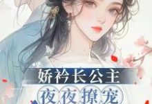 寻找娇矜长公主夜夜撩宠冷心暗卫小说的最新更新章节-红梅文学