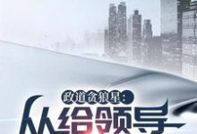 求政道贪狼星:从给领导平反开始小说的全文免费阅读链接-红梅文学