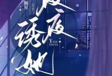 夜夜诱她小说无弹窗阅读的网站推荐-红梅文学