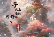 下辈子,我先遇到你,可好?小说有没有完整的免费版本在线阅读?-红梅文学