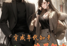 《穿成年代知青,奋斗不如恃美行凶》小说免费阅读完整版-红梅文学
