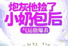 小说《炮灰他捡了小奶包后,气运值爆表》完整版在线章节免费阅读-红梅文学