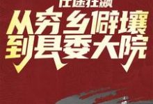 仕途狂飙:从穷乡僻壤到县委大院小说全文哪里可以免费看?-红梅文学