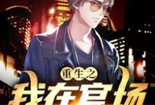 重生之我在官场一路狂飙小说全文哪里可以免费看?-红梅文学