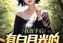 我放手后,有白月光的女友后悔了江辰小说免费阅读-红梅文学