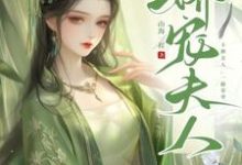 《娇宠夫人》小说章节列表免费试读，苏沅裴景珩小说在线阅读-红梅文学