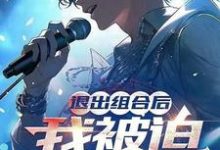 退出组合后,我被迫成为顶流!这本小说完结了吗?免费查看最新章节-红梅文学